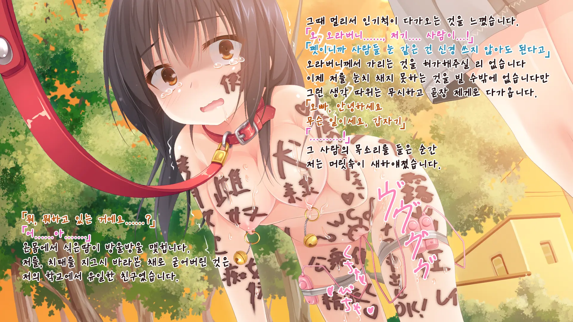 Gyakutaiyou Seidorei No Imouto.